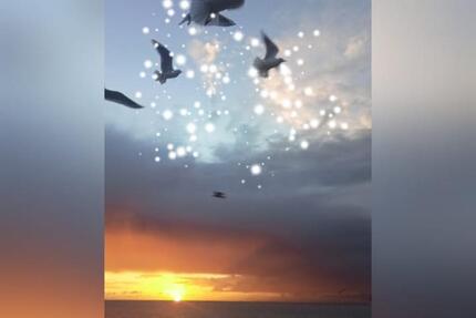 Ferienwohnung SierksdorfOstsee Meerblick Hansapark bis 3 Pers - Neustadt in Holstein