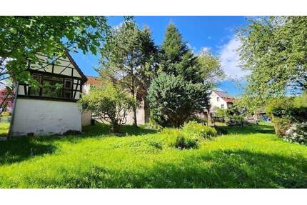 Fast fertig saniert – ruhig & familienfreundlich - Frohburg Gnandstein