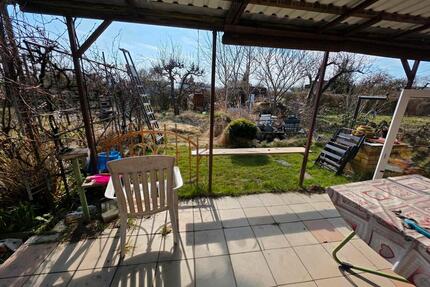 Gepflegter Kleingarten in Schwedt zur Übernahme - Schwedt (Oder)