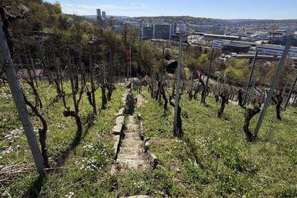 Grundstück in Stuttgart 16.000,00 € 618 m²