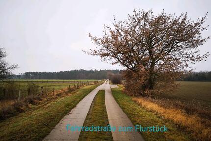Waldgrundstück, teilweise Deponie, Grundstück - Jüterbog