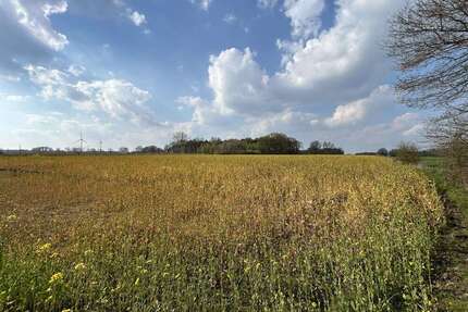 Grundstück in Gescher 365.000,00 € 23113 m²