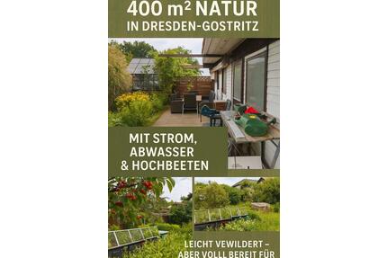 Kleingarten in DD-Gostritz I 400m² I Laube 25m² I Gewächshaus - Dresden Neustadt