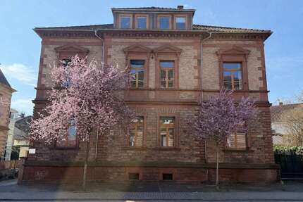 Büro in Landau 1.830,00 € 147 m²