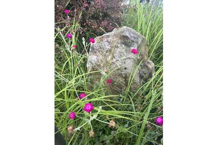 Grundstück zu verkaufen in Niedernhausen 229.000,00 € 300 m²