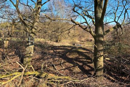 25000 qm Teichgrundstück als Ausgleichsfläche nutzbar - Schwülper