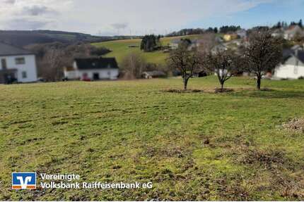 Grundstück zu verkaufen in Schönberg 49.002,55 € 983 m²