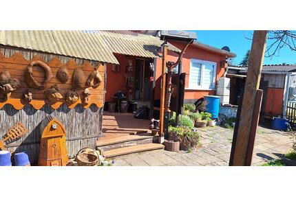 Garten in Kleingartenanlage Am Hasental in Sangerhausen VB - Allstedt