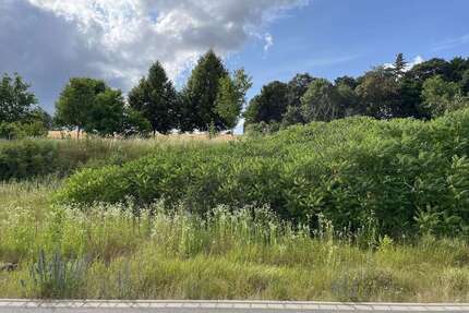 Grundstück zu verkaufen in Bassenheim 227.850,00 € 651 m²