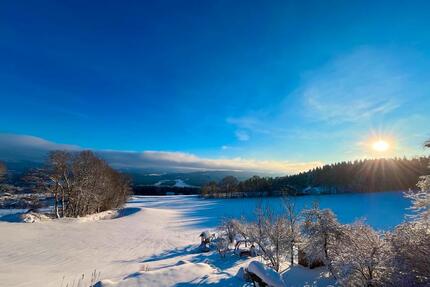 Ferienwohnung Lieblingsplatzerl im bay. Wald - Kollnburg