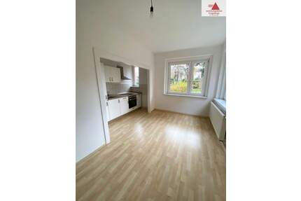 Schicke 2-Raum-Wohnung in Marienthal! - Zwickau / Marienthal