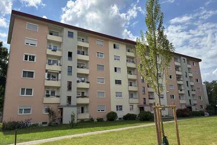 Wohnung zum Kaufen in Freiburg 269.000,00 € 81 m²