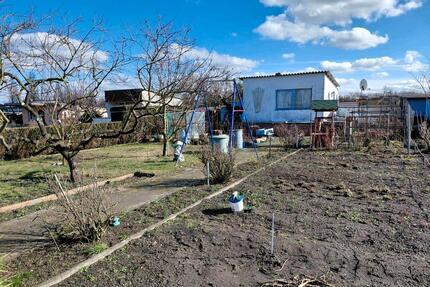 Kauf: Kleingarten Schrebergarten - Gräfenhainichen
