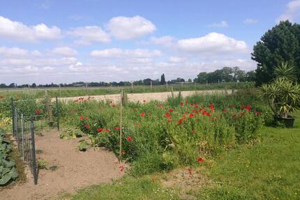 Haus Erdgeschoss zu vermieten - 1.200,00&nbsp;EUR Kaltmiete, ca.&nbsp; 110,00&nbsp;m&sup2; in Kempen (PLZ: 47906)