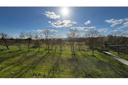 Helle 3-Zimmer-Wohnung mit Balkon & traumhaftem Haardt-Blick - Meckenheim