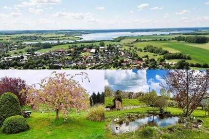 Haus zum Kaufen in Nordwestmecklenburg - Landkreis - Dassow 450.000,00 € 260 m²
