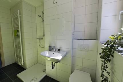 Sehen, staunen, einziehen - niedliche, modern sanierte 3-Raum-Wohnung mit Dusche und Vinylbelag im Grünen von Niederdorf