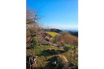 2,5 Zimmer Wohnung - 750,00&nbsp;EUR Kaltmiete, ca.&nbsp; 75,00&nbsp;m&sup2; in Steinen (PLZ: 79585)