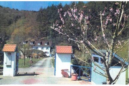 Repräsentatives Landhaus mit vielfältiger Raumgestaltung bis zu 3 Einheiten - Oberzent / Beerfelden Gammelsbach