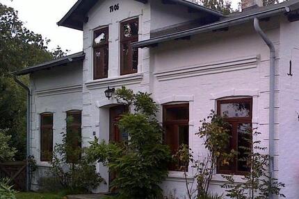 Historisches großes Landhaus mit Kaminöfen und Galerie - Großsolt
