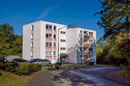 Wohnung zum Mieten in Siegen 229,00 € 74 m²