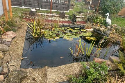 kleingarten in molbitz. - 800,00&nbsp;EUR Kaltmiete, ca.&nbsp; 0,00&nbsp;m&sup2; in Altenburg (PLZ: 04600)