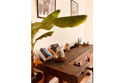 Vermiete vom 1.5-1.10.26 1 Zimmer 30 m2 mit Garten und Hochbett - Leipzig Süd