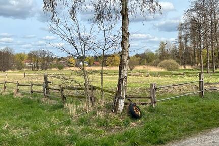 Pferdekoppel in Vöhrum, Peine zu verpachten