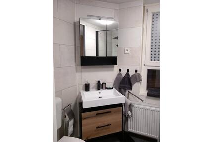 Komplett möbliertes 1-ZKB-Apartment in Holzappel - Singhofen
