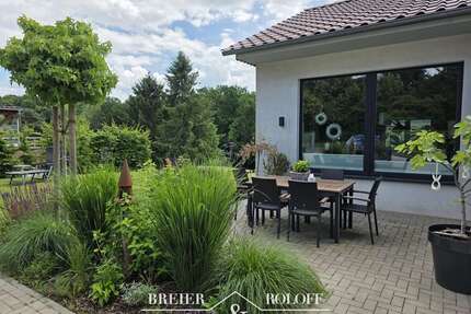 Haus zum Kaufen in Bückeburg 449.000,00 € 240.84 m²