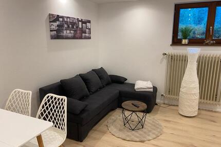 Zu vermieten: Modernes Apartement möbliert & frisch renoviert - Todtmoos
