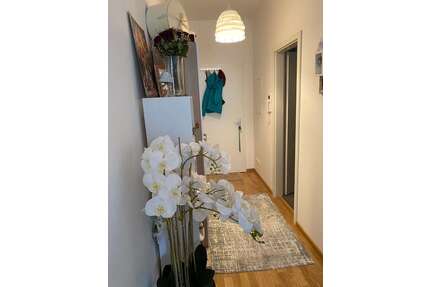 Wohnung zum Mieten in Pirna 344,00 € 26.49 m²