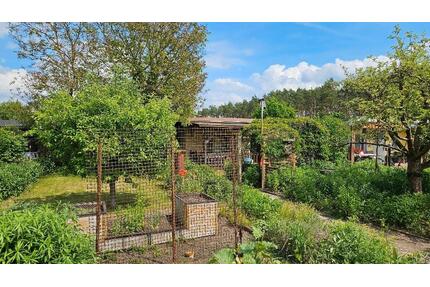 Garten mit massiver Gartenlaube, sofort nutzbar - Premnitz