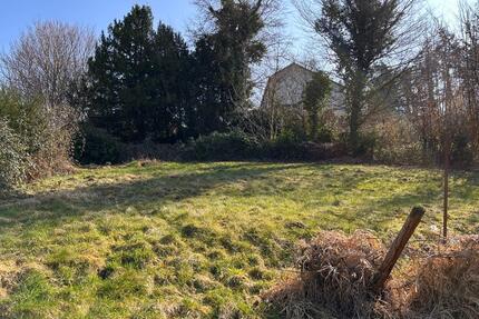 Garten Schrebergarten Gemüse Obst Pacht 400 m² Bonn Bad Godesberg