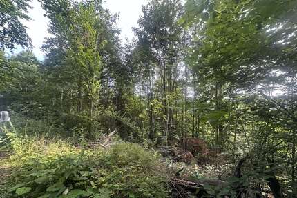 Grundstück zu verkaufen in Ringelai 55.223,00 € 22410 m²
