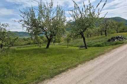 Obstbaumwiese - 4.900,00&nbsp;EUR Kaltmiete, ca.&nbsp; 0,00&nbsp;m&sup2; in Metzingen (PLZ: 72555)