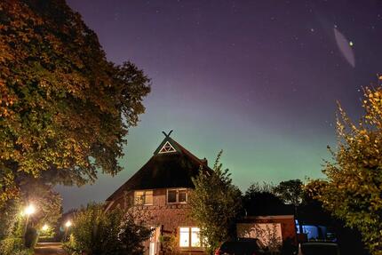 ZFH in Tungeln unweit der Hunte im Oldenburger Speckgürtel - Wardenburg