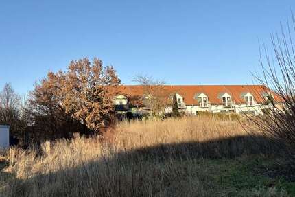 Grundstück zu verkaufen in Grimma Wetteritz 55.000,00 € 697 m² - Grimma / Wetteritz