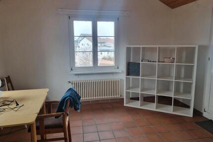 WG-Zimmer in großzügiger Wohnung mit eigenem Bad, Gartenmitben - Klettgau