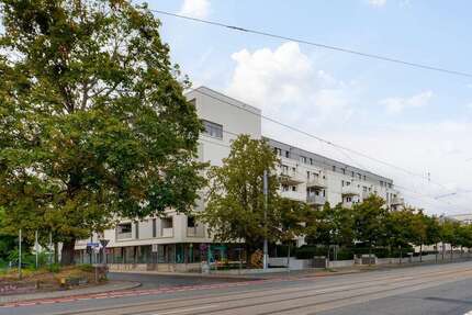Wohnung zum Mieten in Dresden 1.224,00 € 84 m²