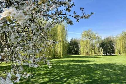 Haus zum Kaufen in Salzkotten 2.990.000,00 € 338 m²