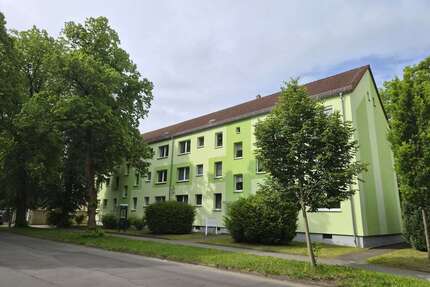 Wohnung zum Mieten in Eilenburg 476,00 € 73 m²