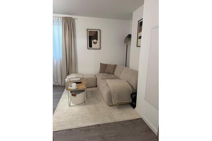 Moderne 1-Zimmer-Einliegerwohnung in BibertalBühl zu vermieten