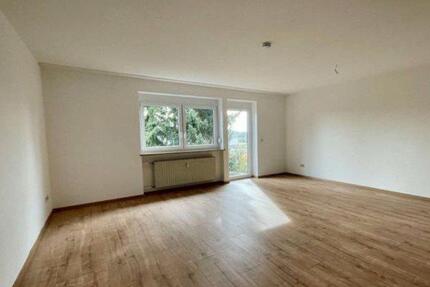 1 Zimmer Wohnung mit Balkon - 290,00&nbsp;EUR Kaltmiete, ca.&nbsp; 44,00&nbsp;m&sup2; in Neunkirchen (PLZ: 66538)