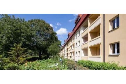 2-Zimmer-Wohnung 45 m² | Berlin-Reinickendorf | sofort