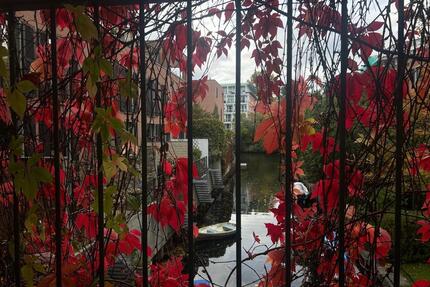 Wg-Zimmer frei in Schleußig mit Balkon und kanalzugang - Leipzig Altwest