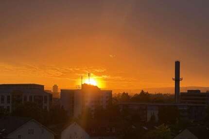 Wohnung zum Kaufen in Rüsselsheim 133.500,00 € 38.61 m²