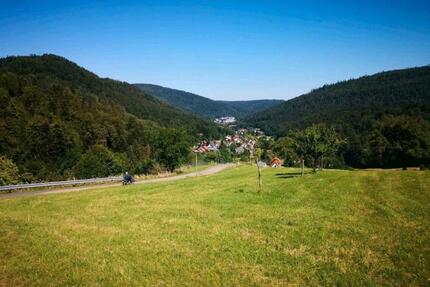 3,5 Zimmerwohnung in Bad Herrenalb - Oberes Gaistal