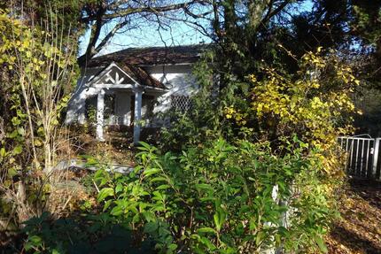 AnzeigeHaus am Park Frankfurt-Sossenheim 2300qm Grundst 14Z 450 q - Frankfurt am Main