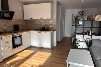 Wohnung zum Mieten in Offenbach 590,00 € 36 m²